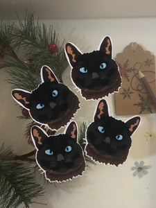 Build Your Pet Package | Custom Illustrations