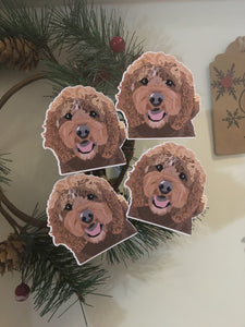 Build Your Pet Package | Custom Illustrations